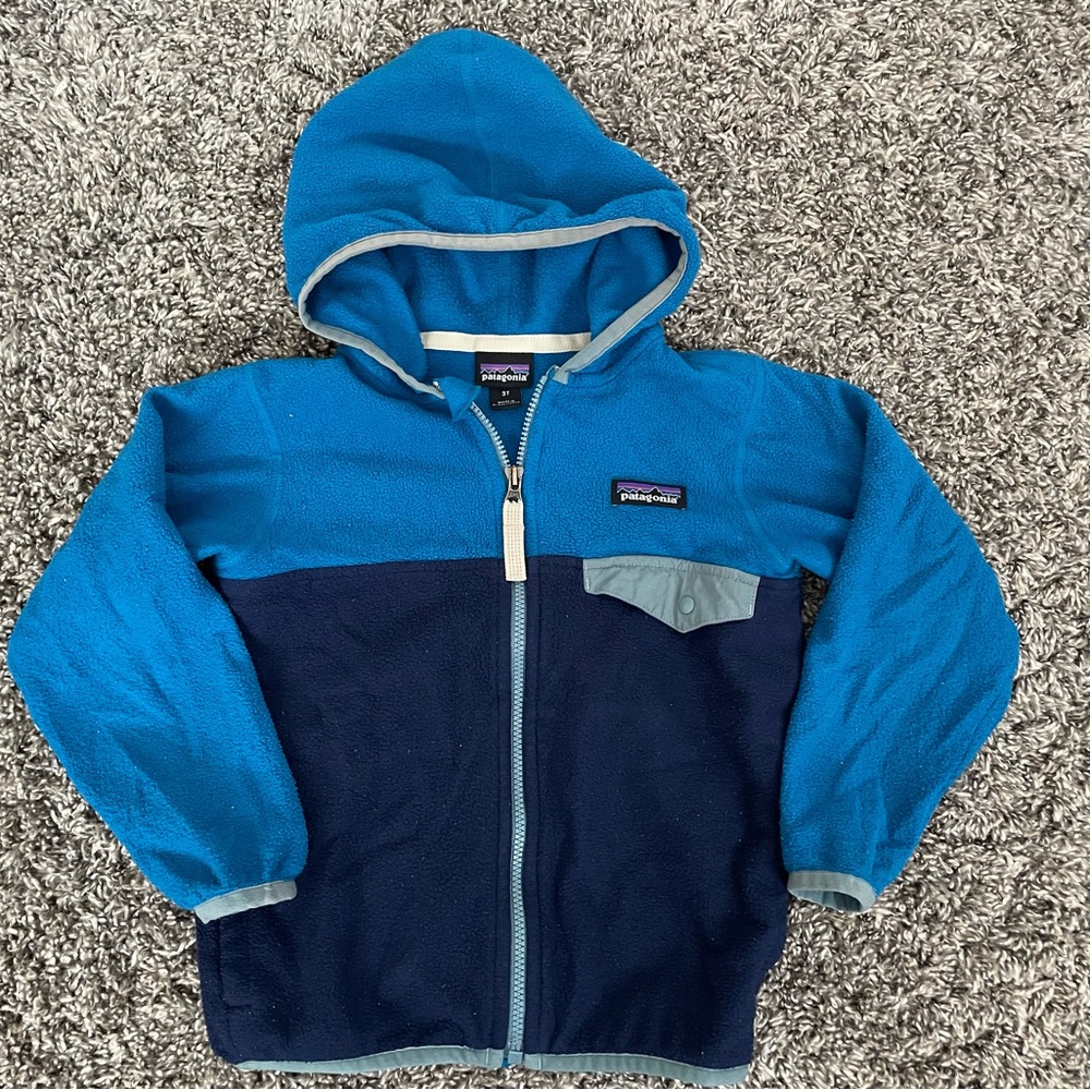 Patagonia Micro D Snap T Fleece